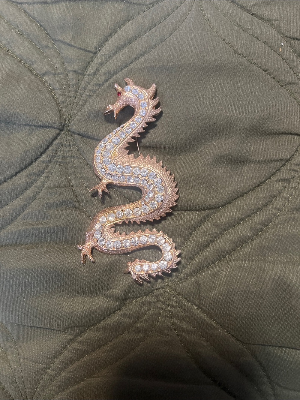 Year of the “Dragon brooch”